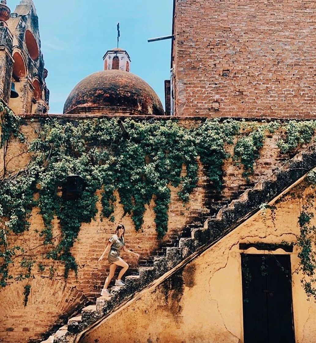 Place Hacienda del Carmen