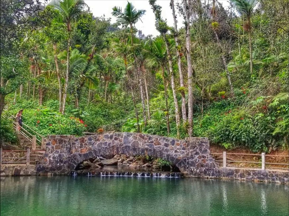 Lugar El Yunque National Forest