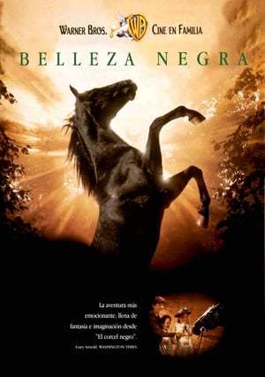 Película Belleza Negra