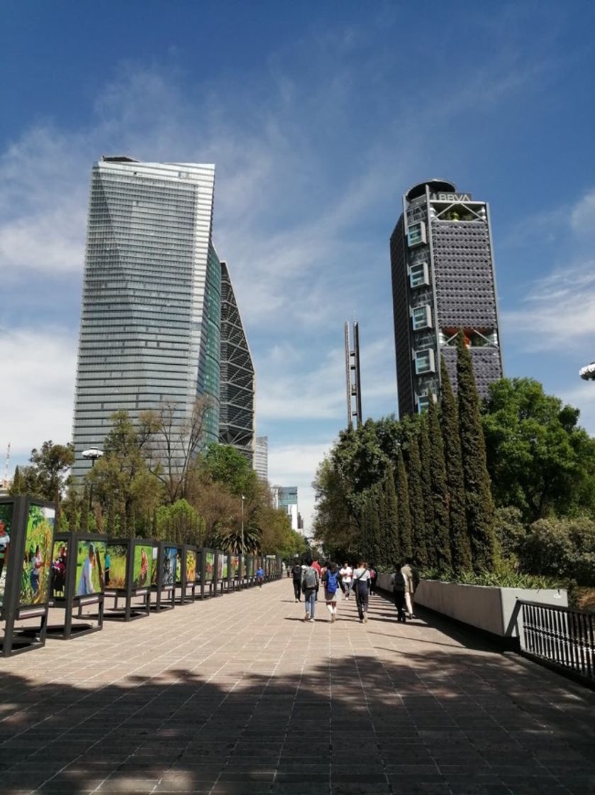 Place Avenida Paseo de la Reforma