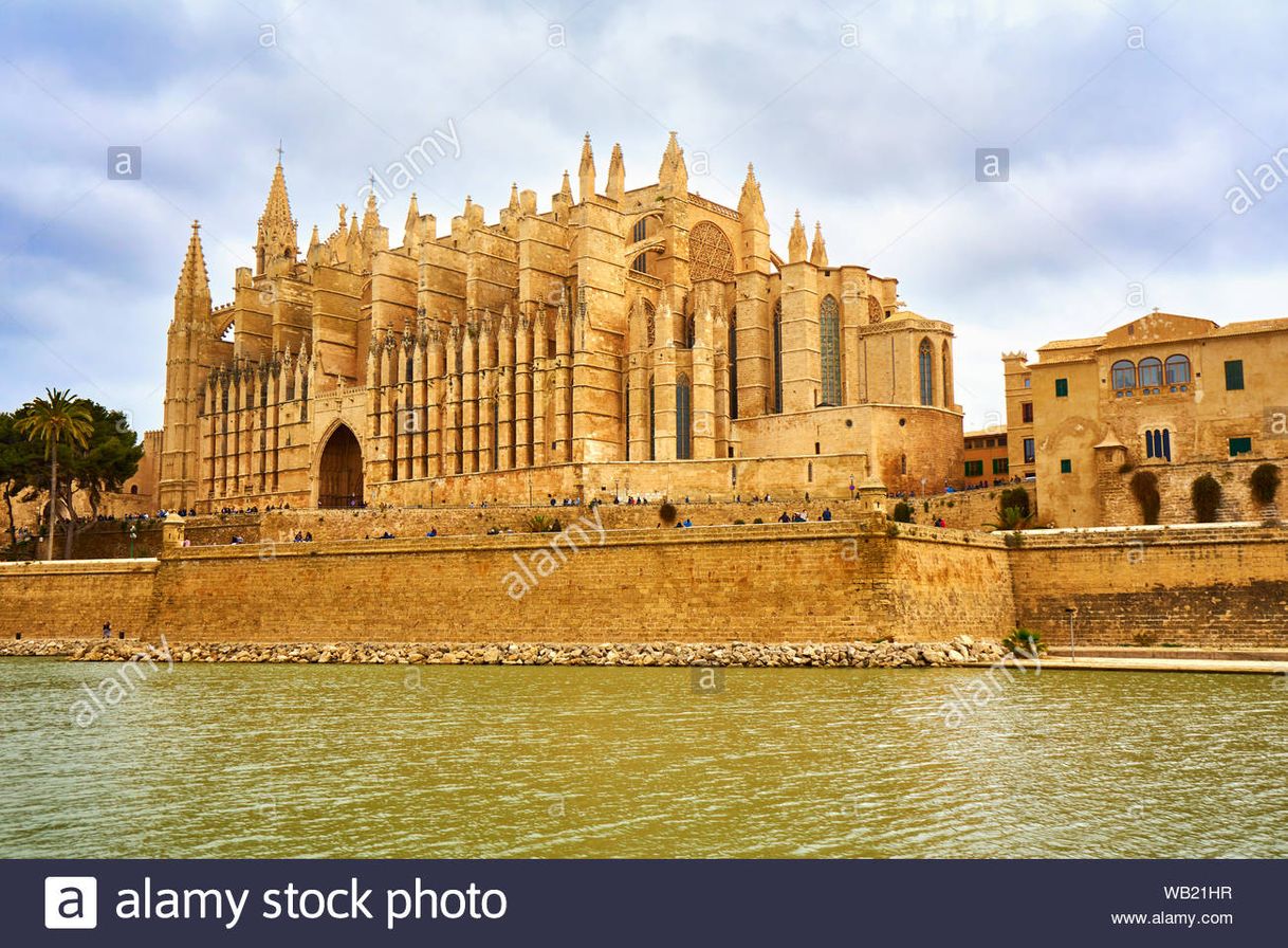 Lugar Catedral-Basílica de Santa María de Mallorca