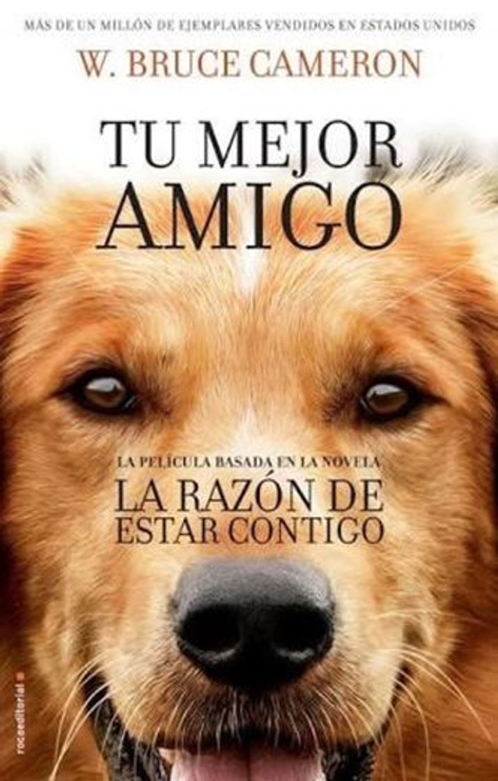 Movie LA RAZÓN DE ESTAR CONTIGO: UN NUEVO VIAJE