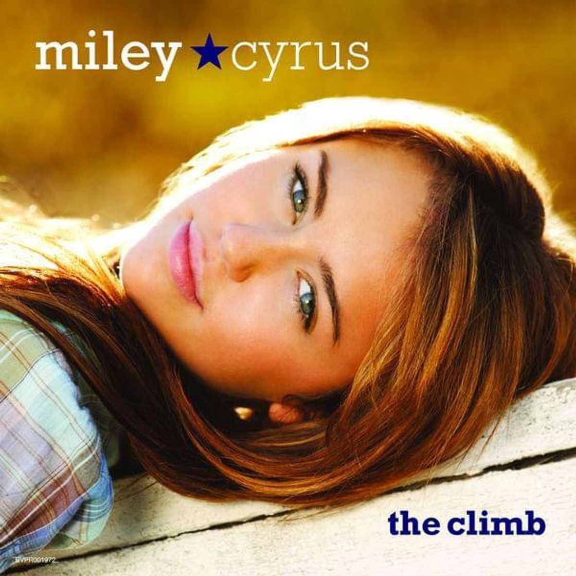 Canción Miley Cyrus~The Climb🎶🎀⛰