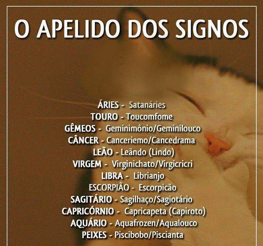 Moda Signos