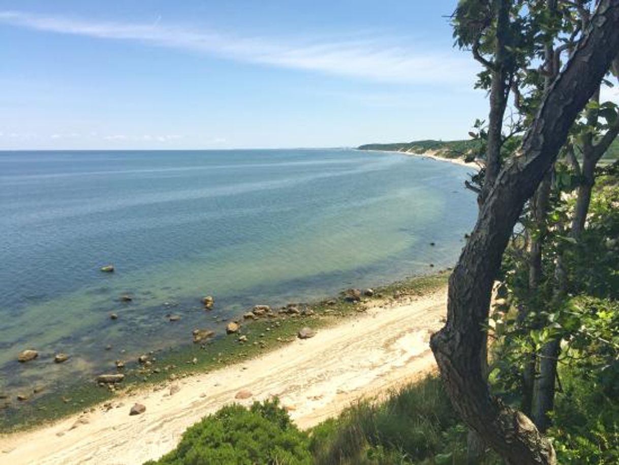 Lugar Wildwood State Park