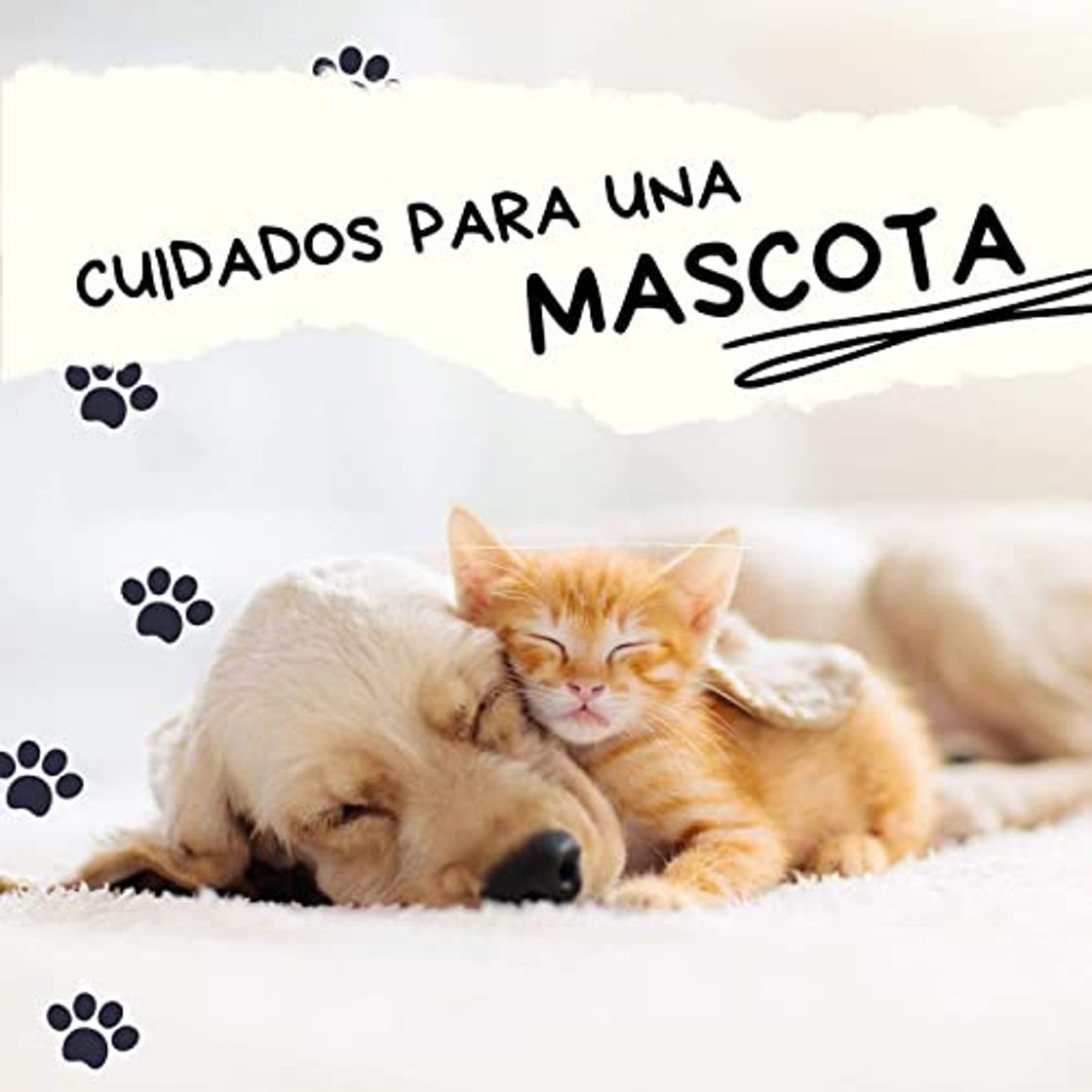 Moda Música para dormir GATOS Y PERROS 