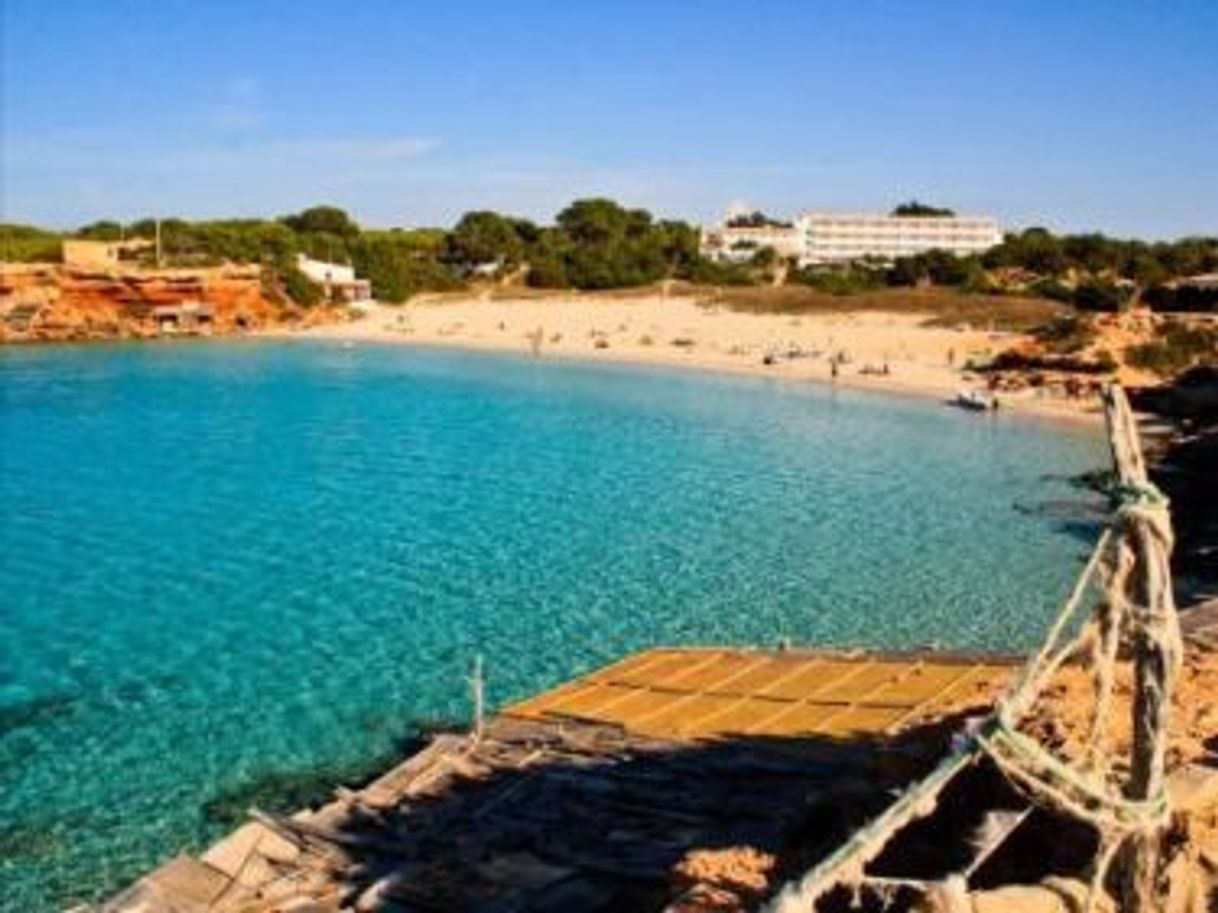 Lugar Hotel Cala Saona: Hotel de Lujo en Formentera