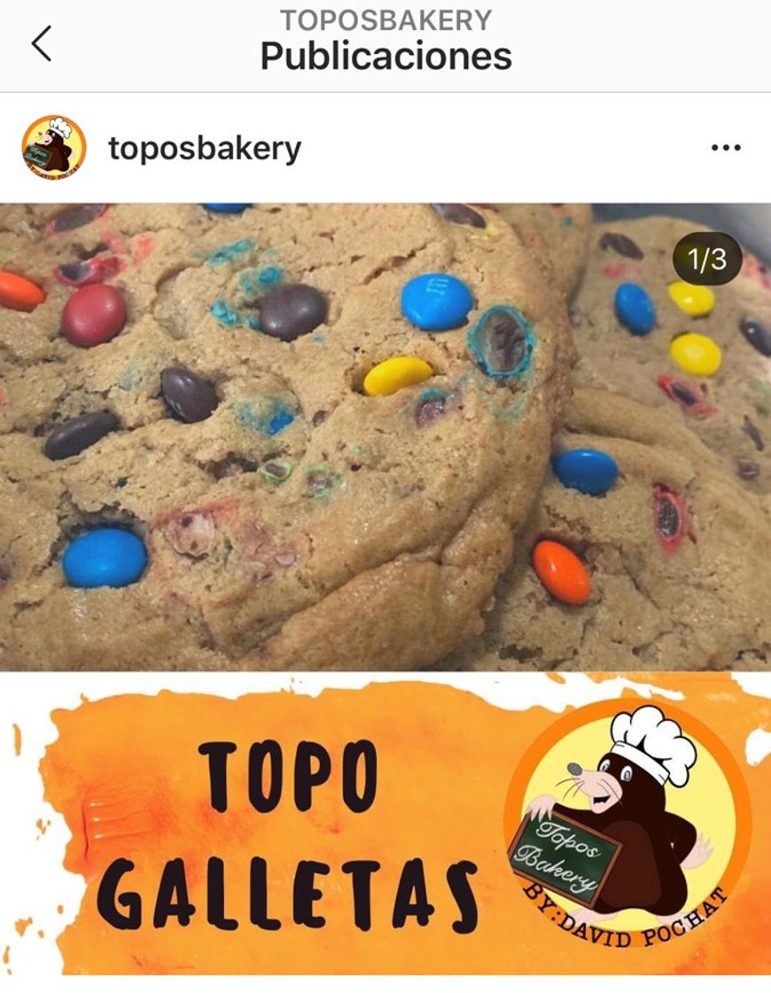 Fashion Topos Bakery