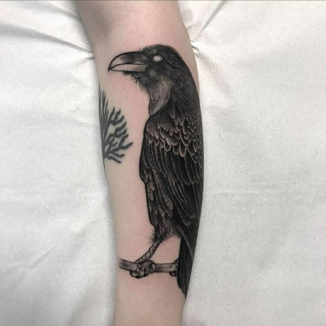 Moda Raven tattoo