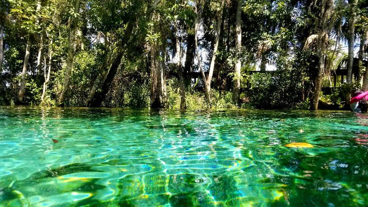 Places Three Sisters Springs