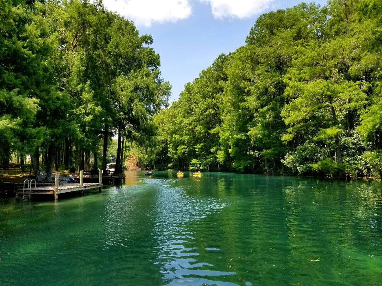 Places Rainbow River