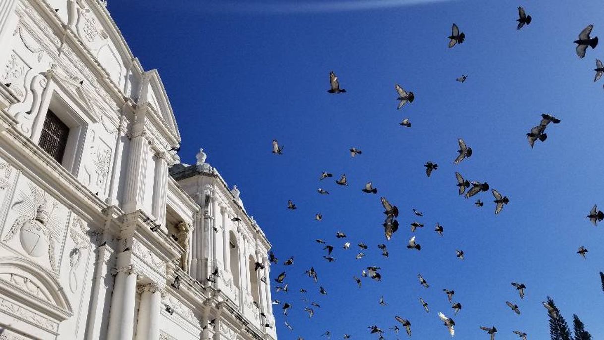 Lugar Catedral De Leon Nicaragua