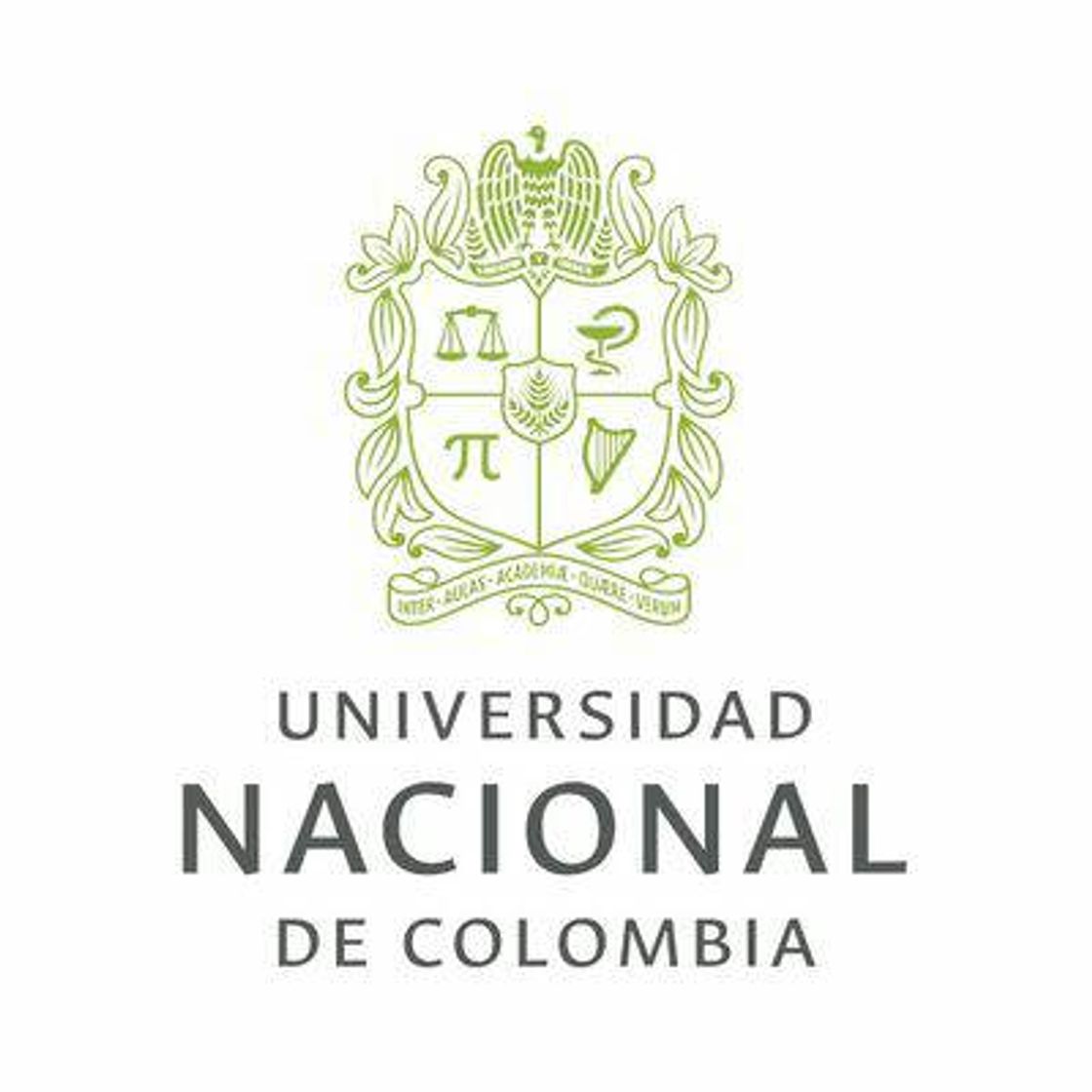 Moda Universidad Nacional de Colombia