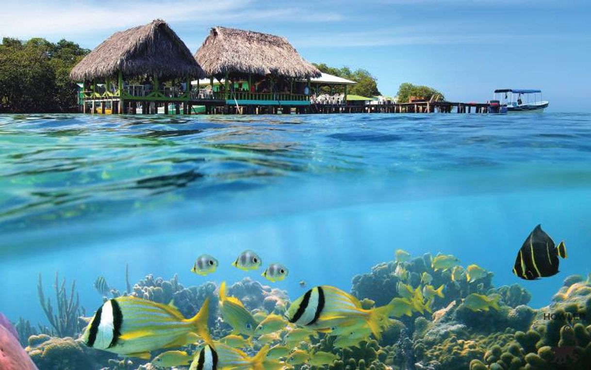 Lugar Bocas del Toro