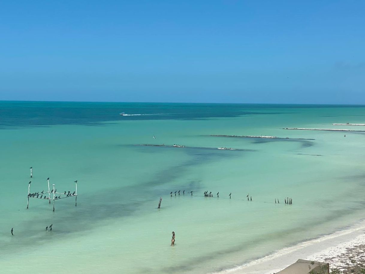 Place Isla de Holbox