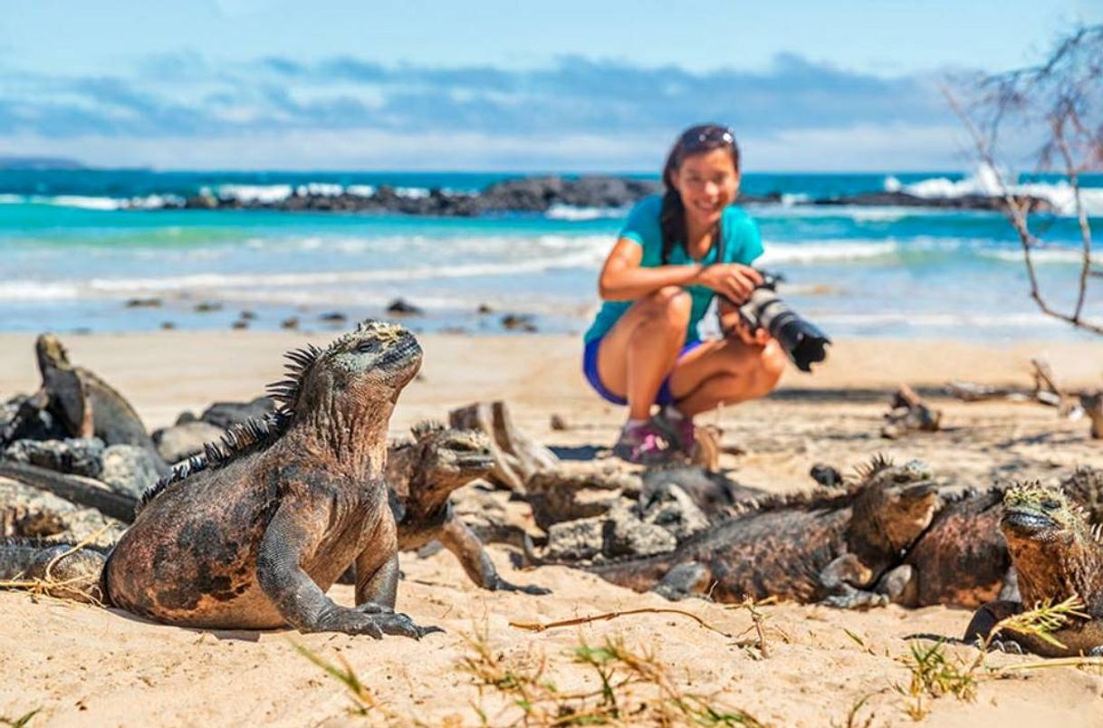 Place Galapagos