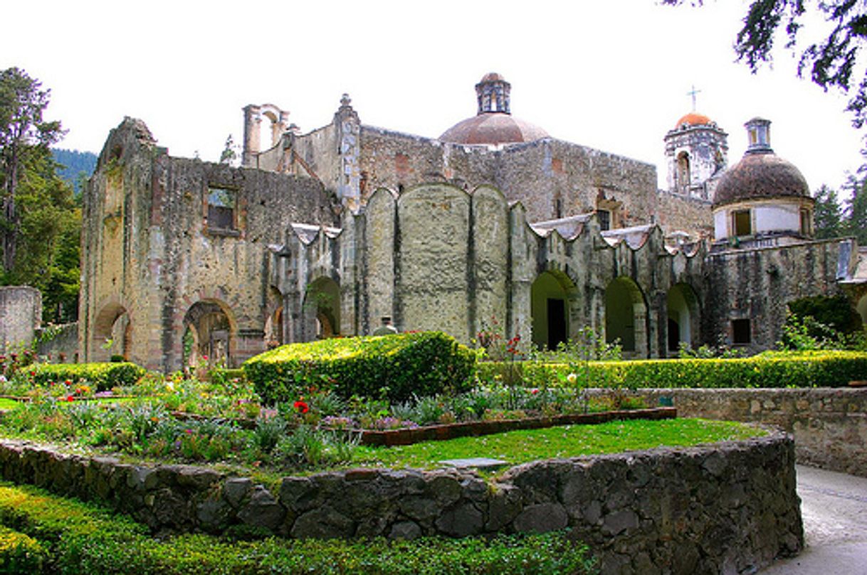 Desierto de los Leones