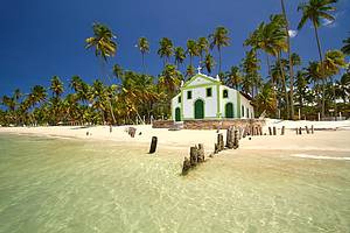 Lugar Praia dos Carneiros