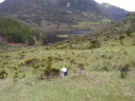 Vía a la Laguna de Cácota