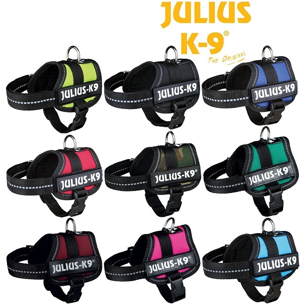 Social HARNESS JULIUS-K9