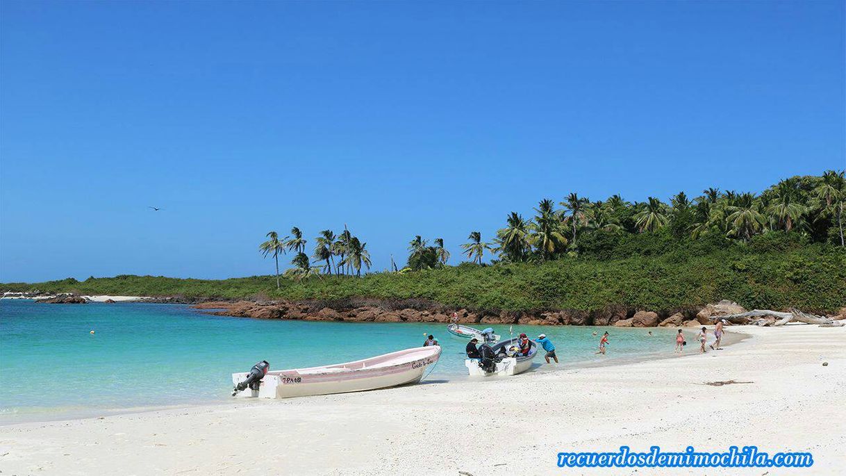 Restaurantes Restaurante Isla Iguana