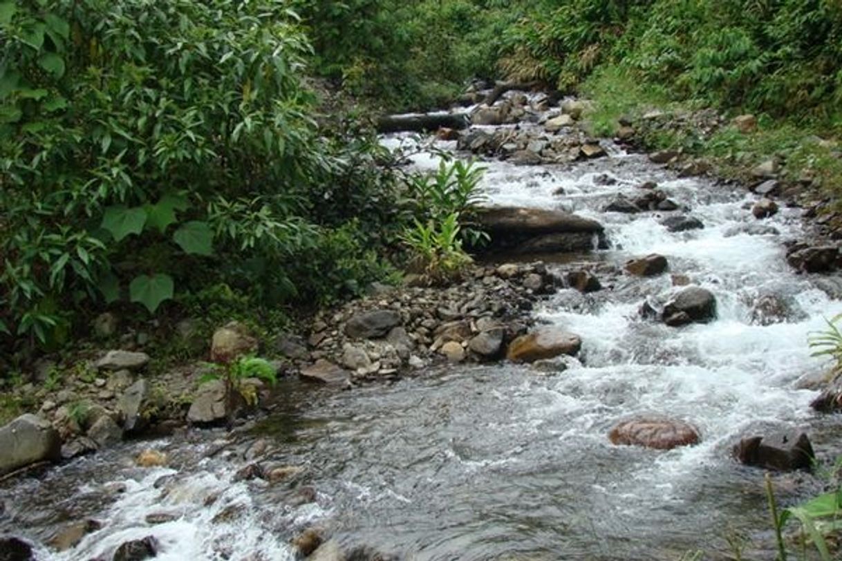 Lugares Ecoparque Rio Pance