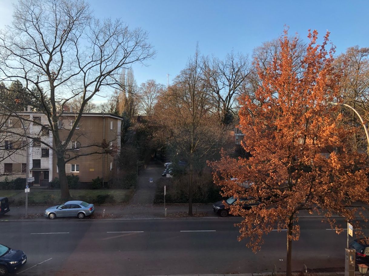 Place Novum Hotel Ravenna Berlin Steglitz