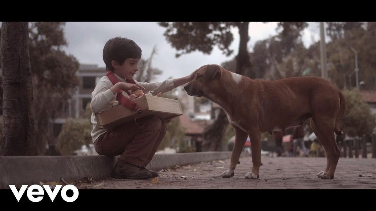 Music Morat - Aprender A Quererte (Video Oficial) - YouTube