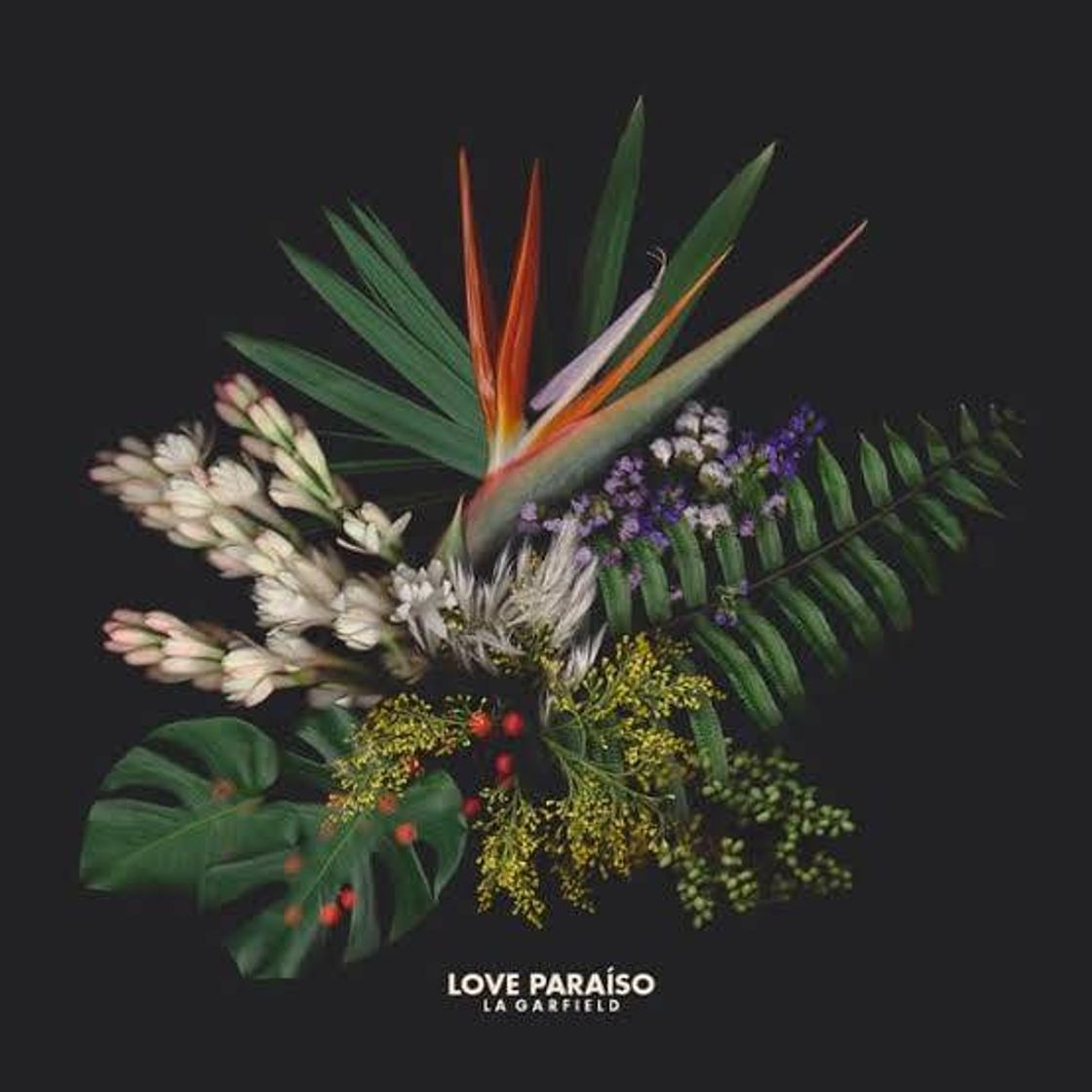 Canción Love -  La Garfield