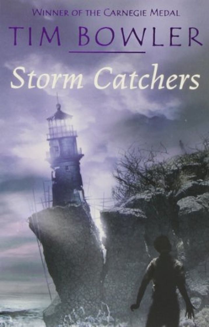 Libro Storm Catchers