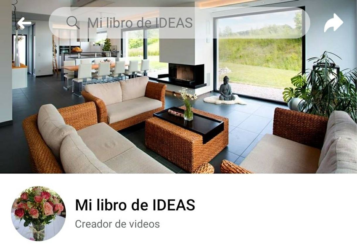 Social Mi libro de ideas