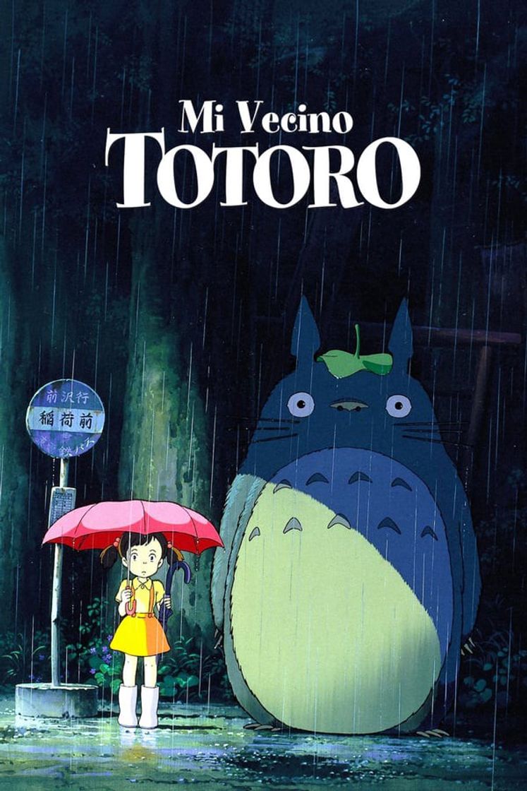 Fashion Ver Mi Vecino Totoro (1988)