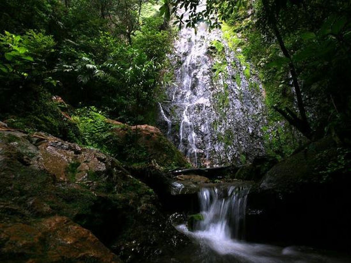 Place Parque Nacional La Tigra