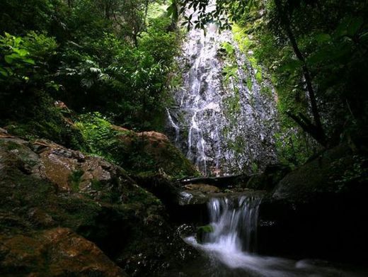 Parque Nacional La Tigra