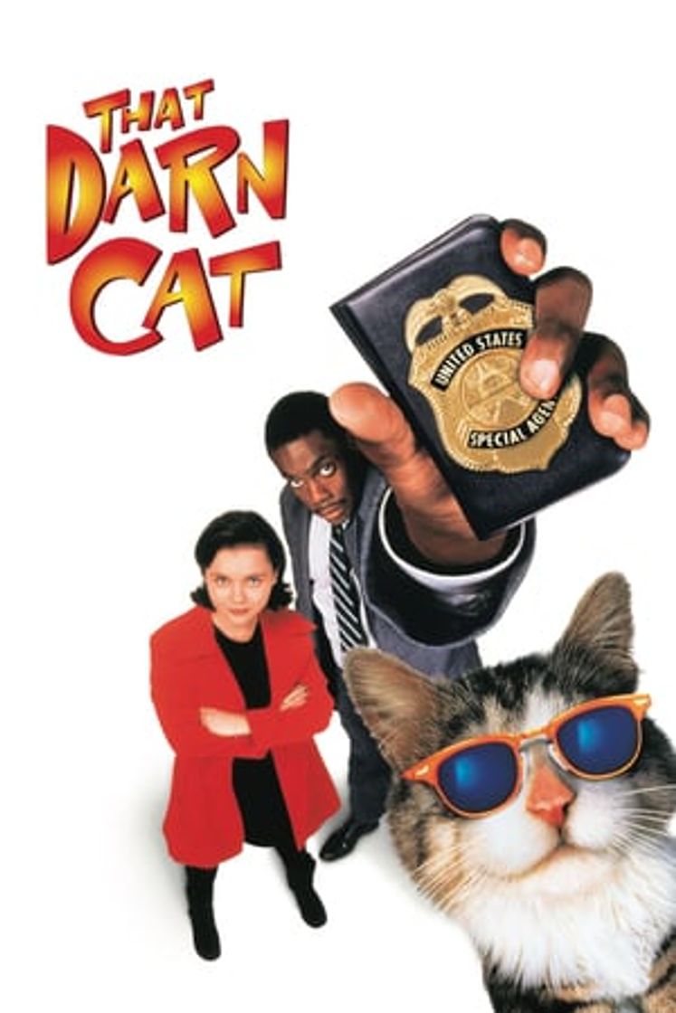 Película Un gato del FBI