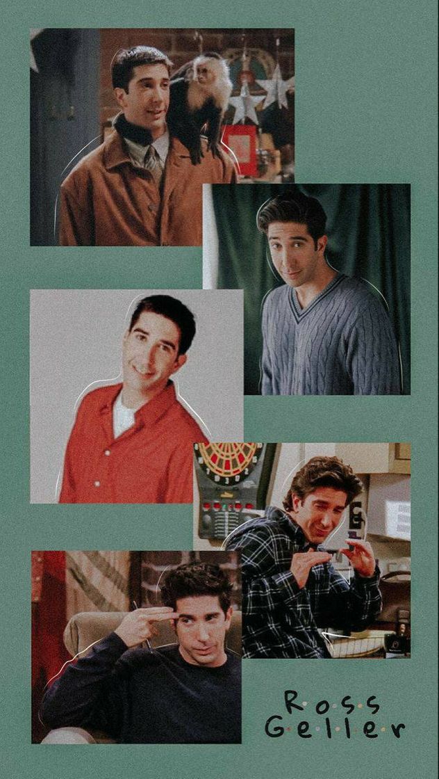 Fashion Ross Geller