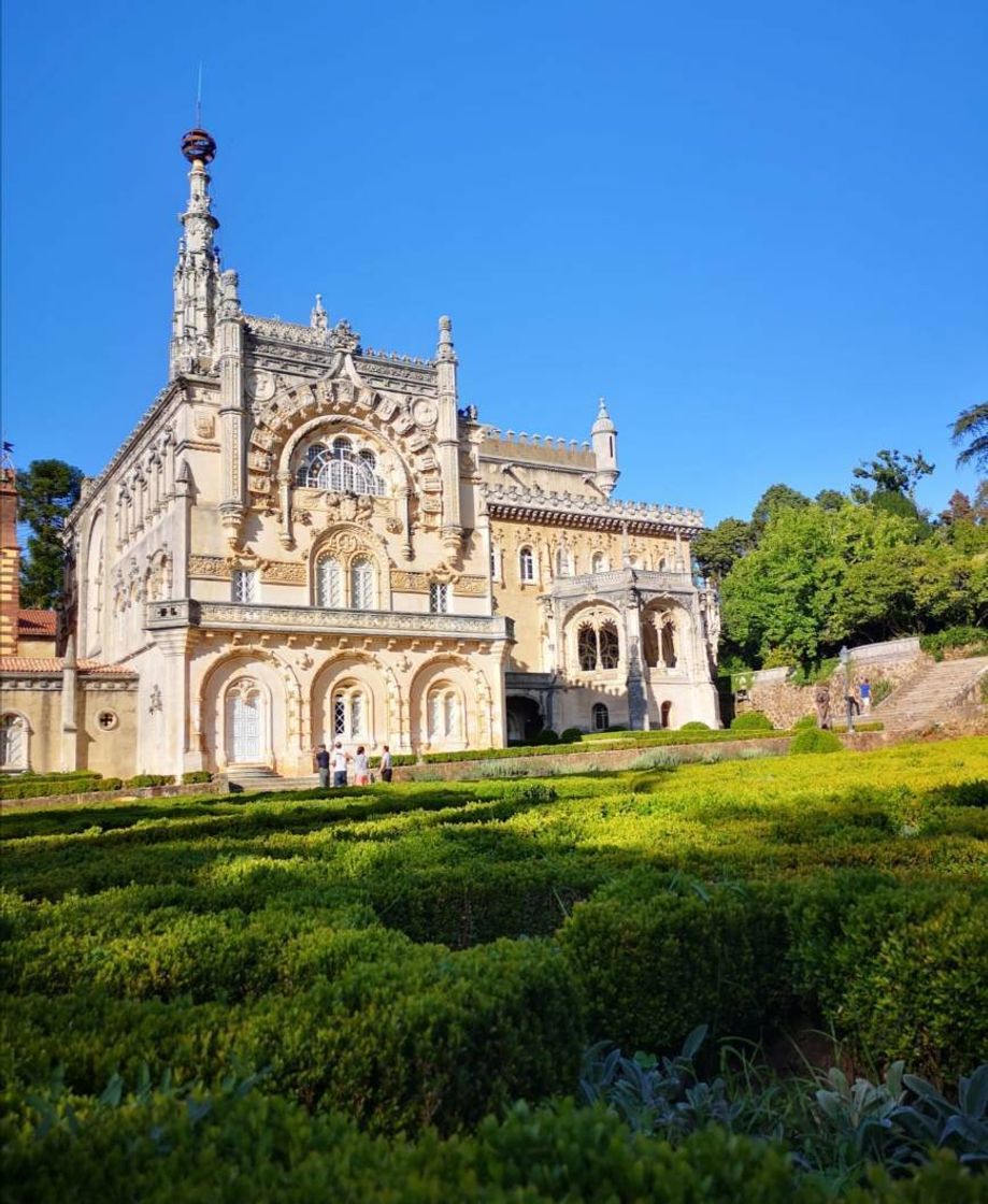 Place Bussaco
