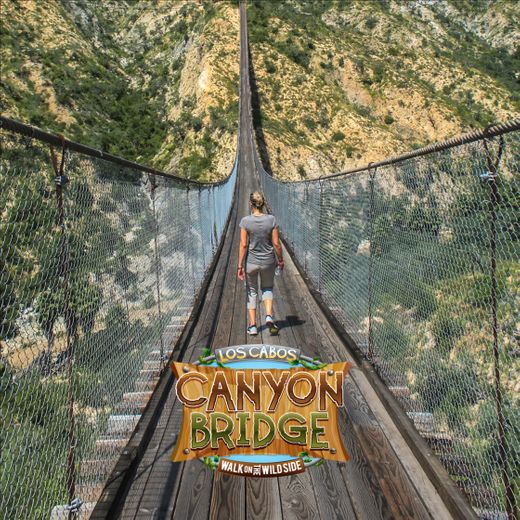 Wild Canyon Adventures