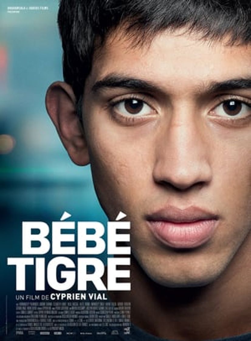 Movie Bébé Tigre
