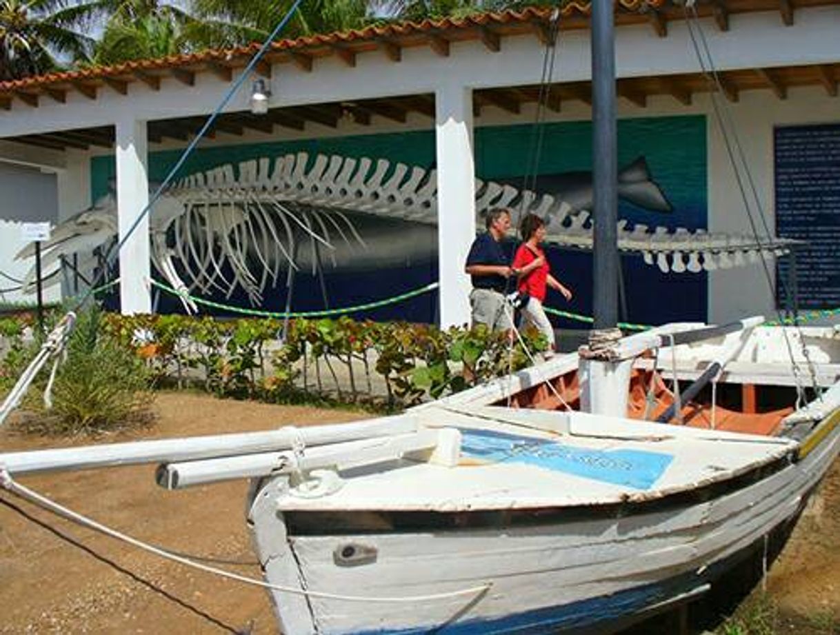 Lugares Museo Marino de Margarita