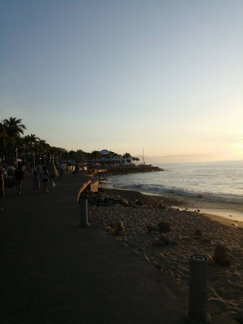 Lugar Puerto Vallarta