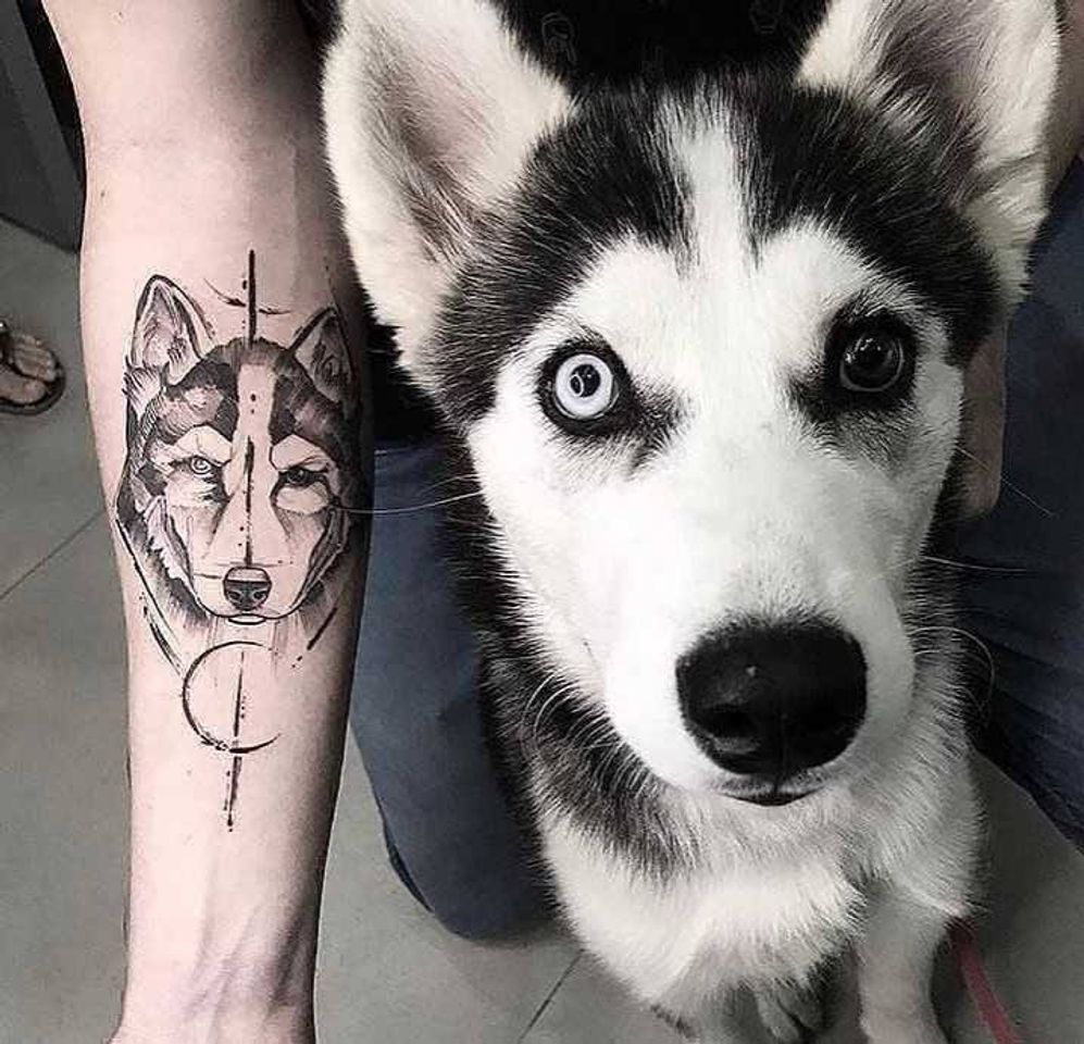 Social Buen amigo 🐺