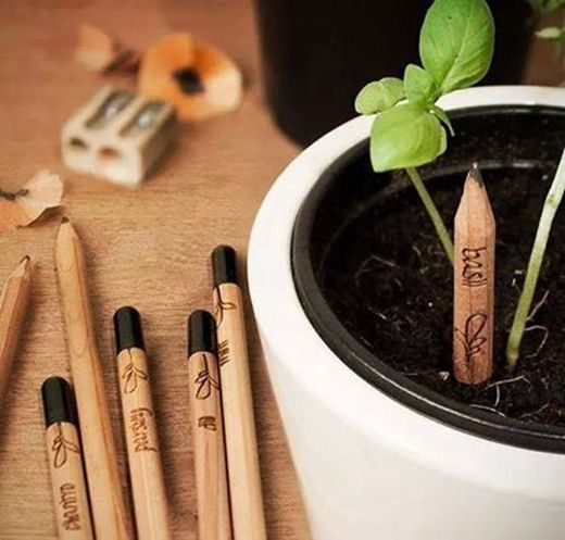 8 lápices ecológicos con semillas