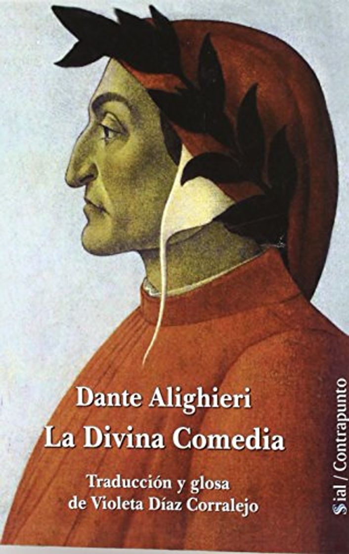 Book Divina Comedia (Contrapunto (sial)) de Dante ali (21 jun 2012) Tapa blanda