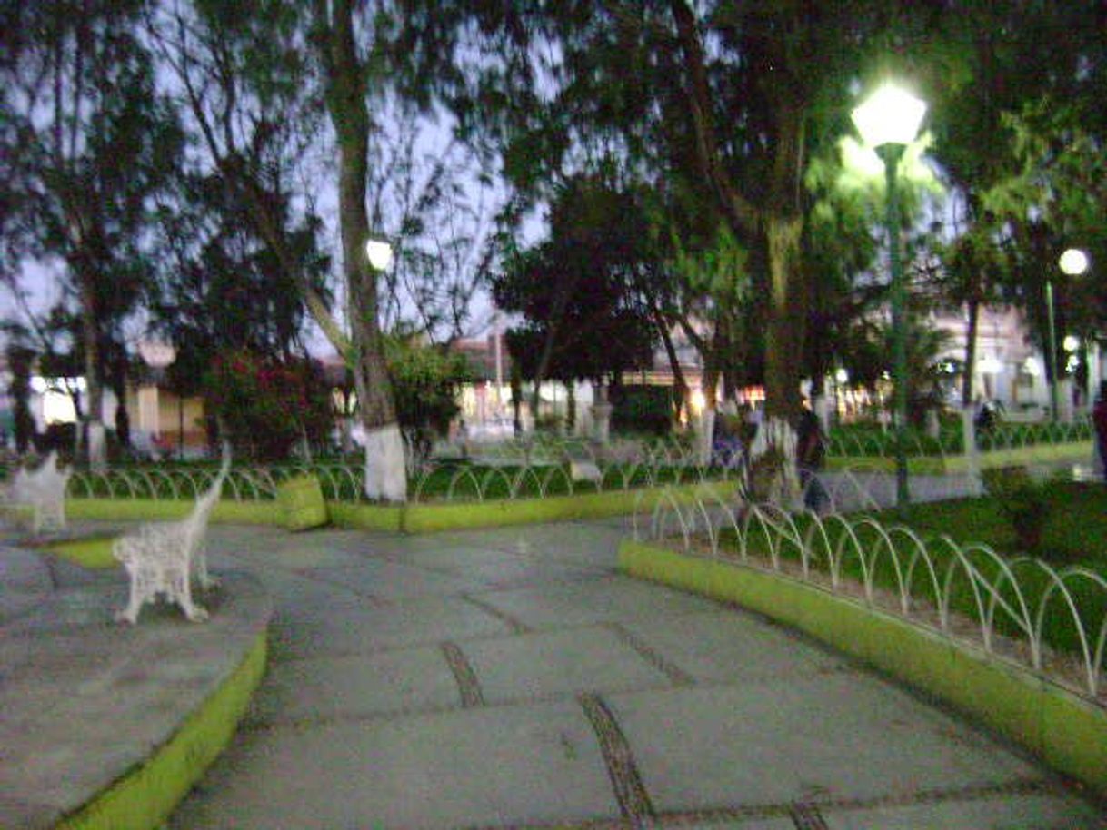 Lugar Parque de Ocotlán