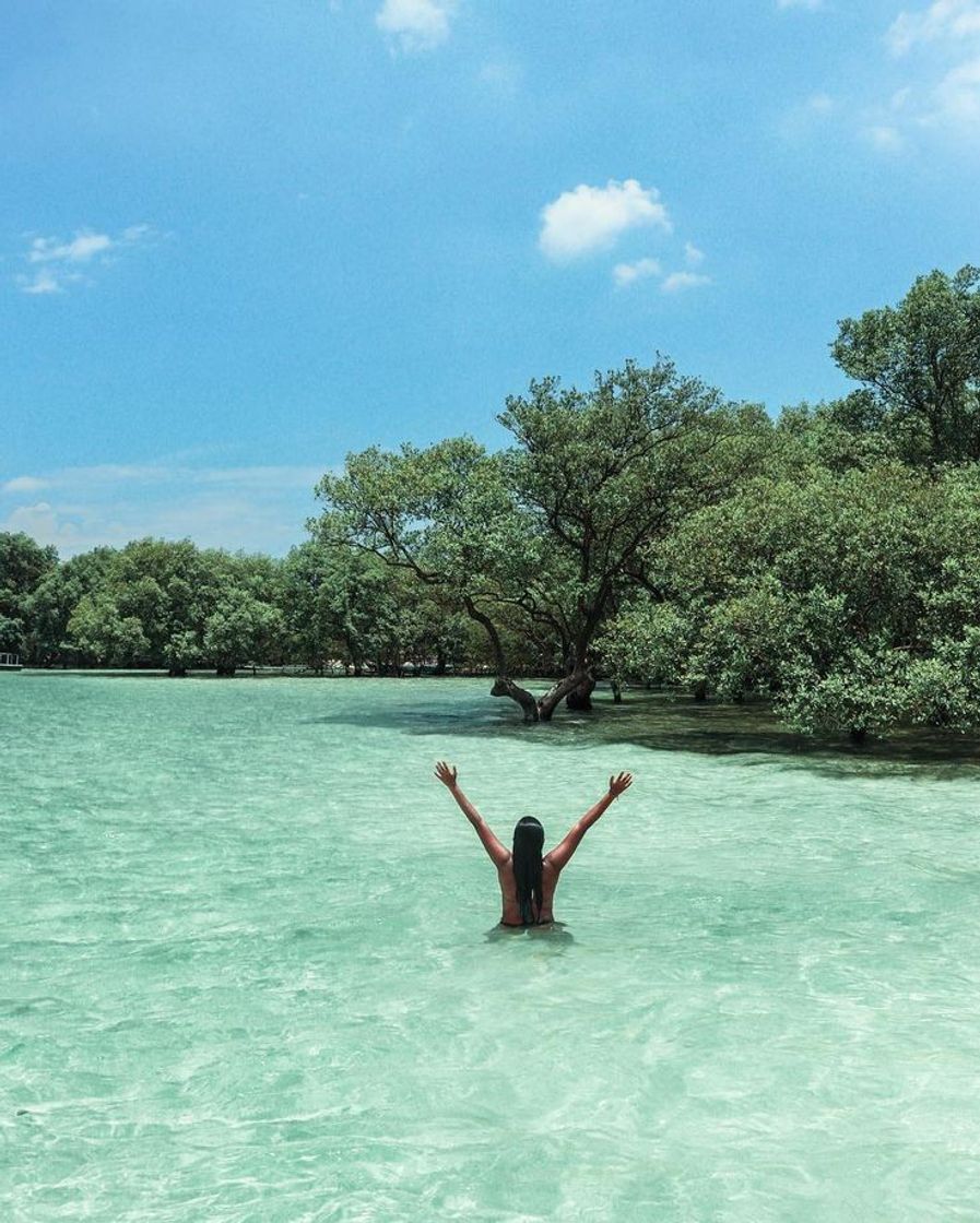 Place Ilha de Itaparica