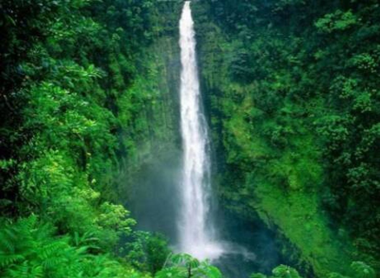 Lugar Cachoeira Eldorado, AMAZONAS😍