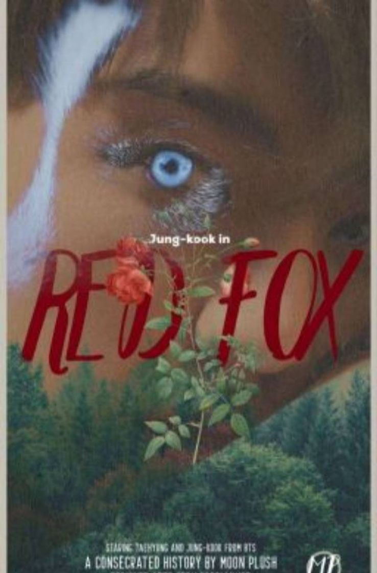 Libro Red Fox