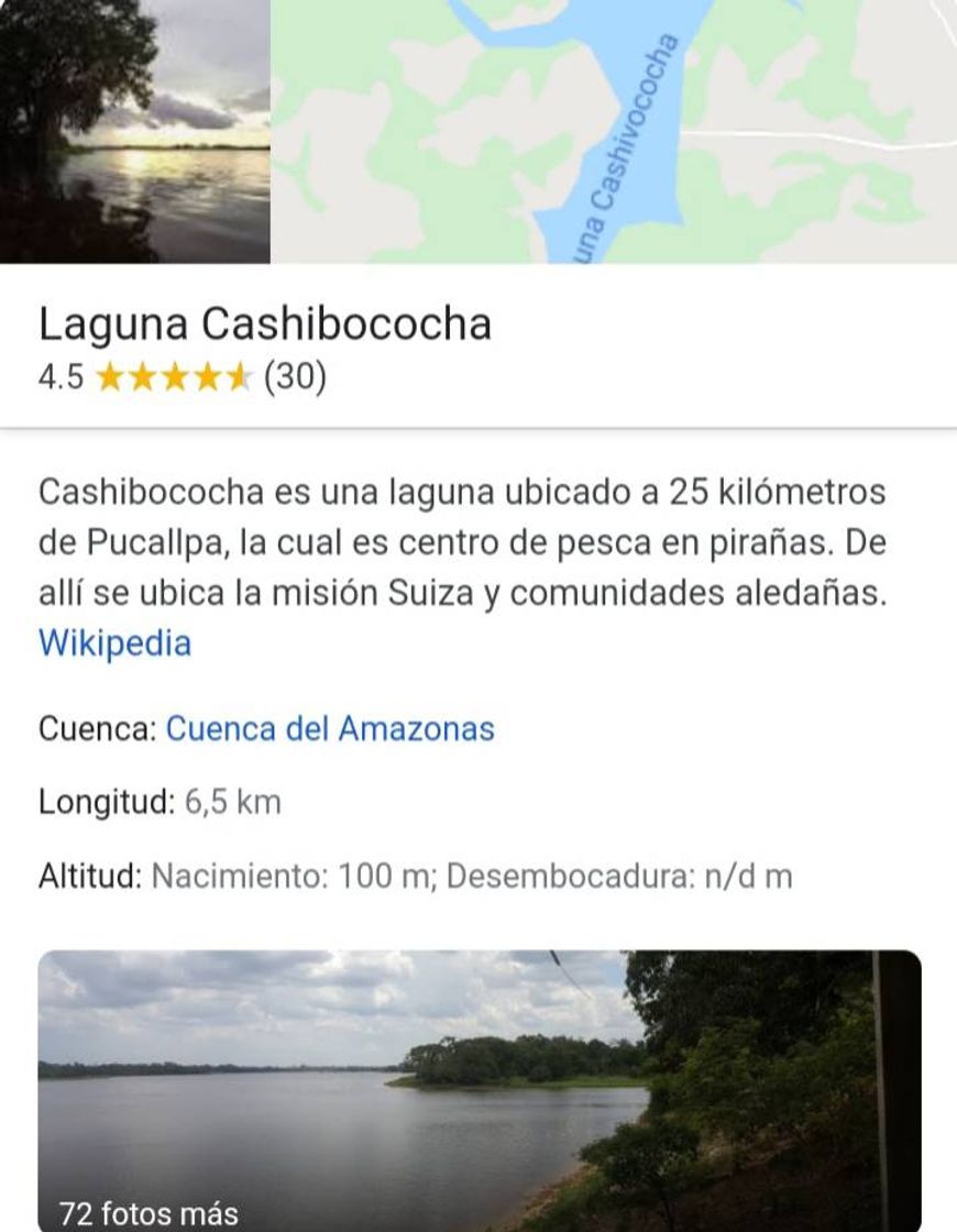 Lugar Laguna de Cashibococha