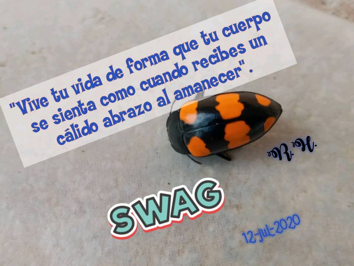 Fashion Imágenes con frases 